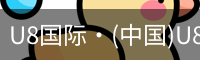 U8国际